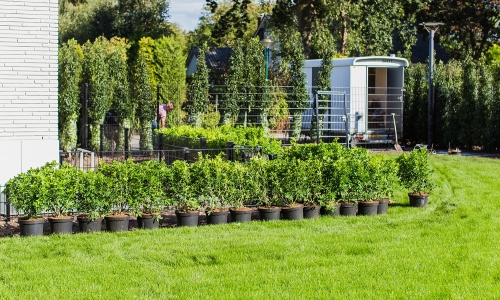 Moderne tuin IJsselstein