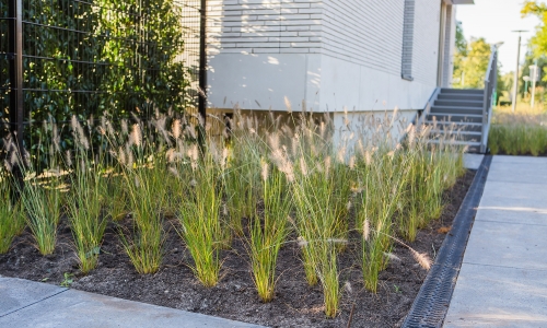 Moderne tuin IJsselstein